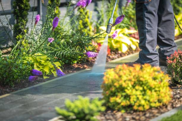 Best Fence Cleaning  in Skyline View, PA