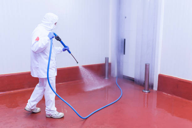 Best Graffiti Removal  in Skyline View, PA